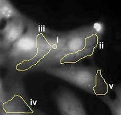 Th 0807lfwnb1 Th 0807lfwnb1