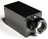 Th 0808lfwfluxdata Th 0808lfwfluxdata