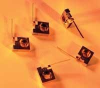 Th 0808lfwintense Th 0808lfwintense