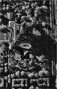 Th 0808lfwmkt Th 0808lfwmkt