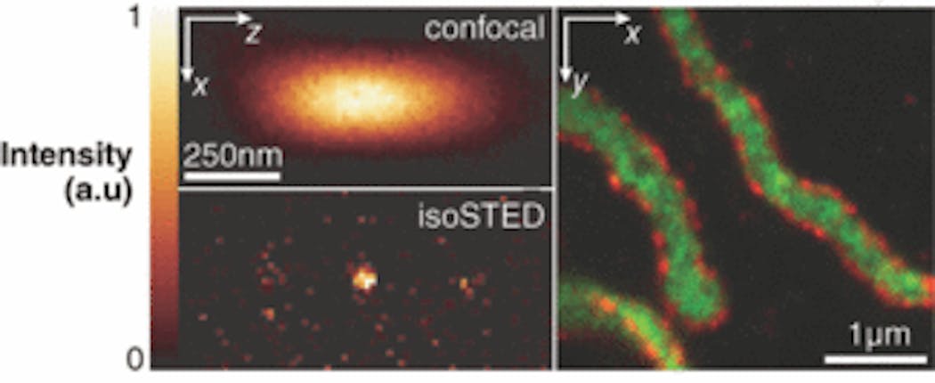 Different proteins within mitochondria are tagged with different fluorophores and imaged using the isoSTED technique at a resolution of roughly 50 nm.
