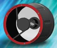 Th 0808lfwstingray Th 0808lfwstingray