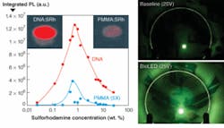 FIGURE 2. When used as an organic host material for popular laser dyes, DNA processed into a DNA-CTMA biopolymer complex can improve the photoluminescence by a factor of 15 (left) compared to such popular organic dye hosts as polymethylmethacrylate (PMMA). Emission from a conventional green OLED (right, top) clearly increased with the addition of a DNA-CTMA electron-blocking layer (right, bottom). FIGURE 2. When used as an organic host material for popular laser dyes, DNA processed into a DNA-CTMA biopolymer complex can improve the photoluminescence by a factor of 15 (left) compared to such popular organic dye hosts as polymethylmethacrylate (PMMA). Emission from a conventional green OLED (right, top) clearly increased with the addition of a DNA-CTMA electron-blocking layer (right, bottom).