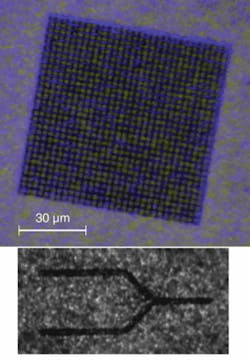 FIGURE 3. Photonic structures can be produced in a DNA:organically modified silica (ORMOSIL) nanocomposite using photopatterning with resolution values as high as 1 µm (top). Imaged in reflection mode using a confocal microscope, a 90 × 45 µm beamsplitter (bottom) can be fabricated in the same DNA:ORMOSIL nanocomposite material. FIGURE 3. Photonic structures can be produced in a DNA:organically modified silica (ORMOSIL) nanocomposite using photopatterning with resolution values as high as 1 µm (top). Imaged in reflection mode using a confocal microscope, a 90 × 45 µm beamsplitter (bottom) can be fabricated in the same DNA:ORMOSIL nanocomposite material.