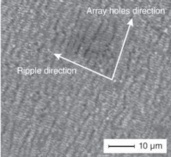 Th 0809lfwnbf2 Th 0809lfwnbf2
