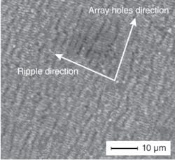 Th 0809lfwnbf2 Th 0809lfwnbf2