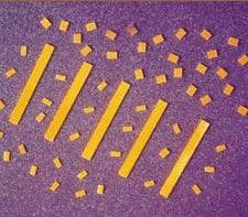 Th 09lfw14 Th 09lfw14