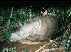 Th 09lfw19 Th 09lfw19