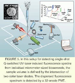 Th 1000feat1 5 Th 1000feat1 5