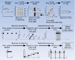 Th 1100japan1 Th 1100japan1