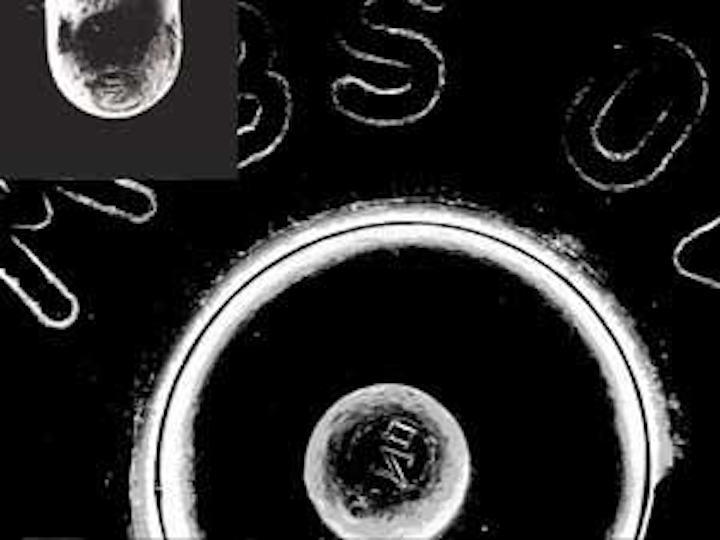 Th 110756
