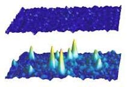 FIGURE 1. Fluorescence emission of single molecules of perylene diimide in polymethylmethacrylate polymer is acquired using a Photometrics Cascade camera with 'on-chip multiplication gain' off (top) and on (bottom). FIGURE 1. Fluorescence emission of single molecules of perylene diimide in polymethylmethacrylate polymer is acquired using a Photometrics Cascade camera with 'on-chip multiplication gain' off (top) and on (bottom).