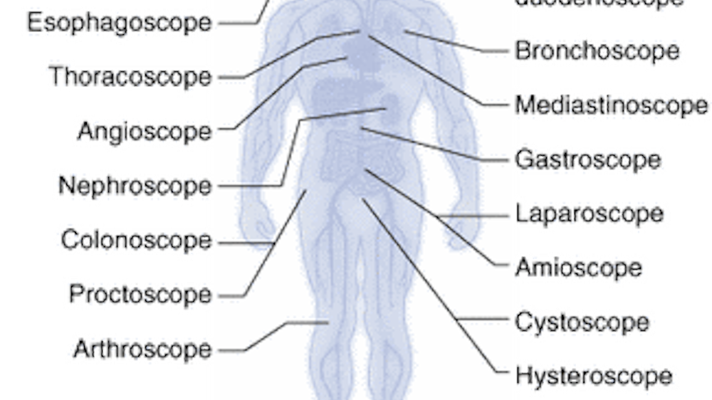 Microendoscopy takes diagnostics deeper into the body | Laser Focus World