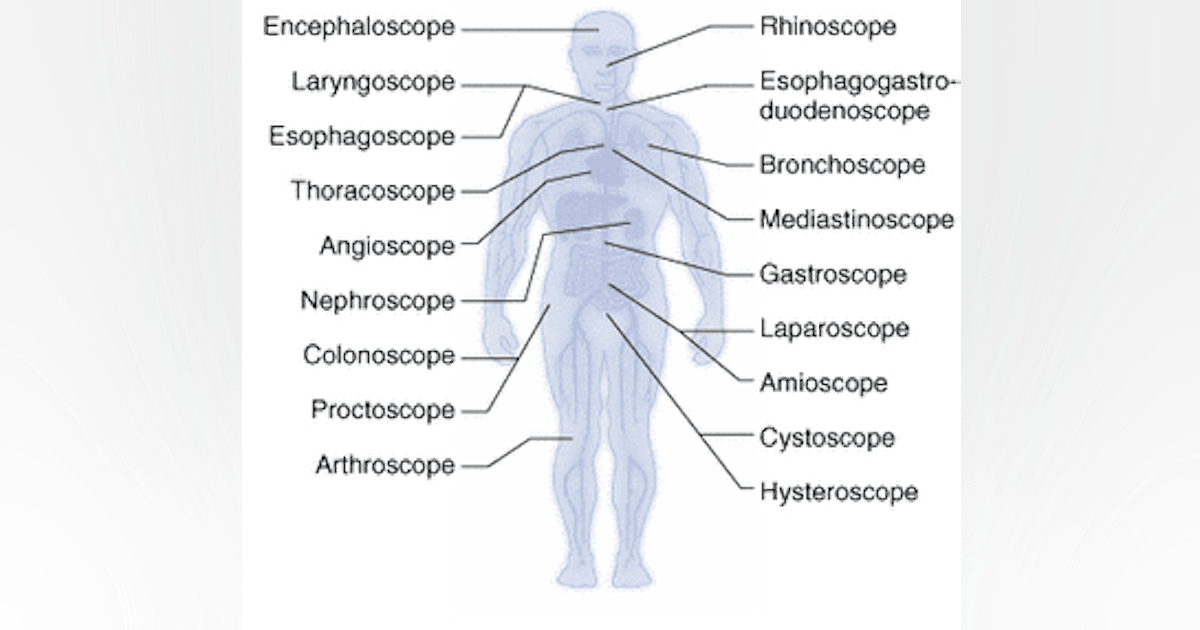 Microendoscopy takes diagnostics deeper into the body | Laser Focus World