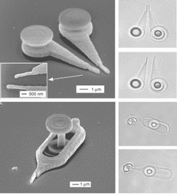 Light-driven micromanipulators are fabricated from UV-curable resin by two-photon stereo lithography. Tweezers have submicron probe tips formed by point-by-point exposure (scanning electron micrograph, a). Gradient pressure from a focused laser beam moves the tweezers tips together or apart (optical micrographs, b and c). A needle has a submicron tip and a post-like &apos;dot&apos; that is captured and held by a laser beam for manipulation of the needle (scanning electron micrograph, d). Optically manipulated in an aqueous solution, the needle pushes a microscopic speck of dust aside or pricks it with its tip (optical micrographs, e and f).
