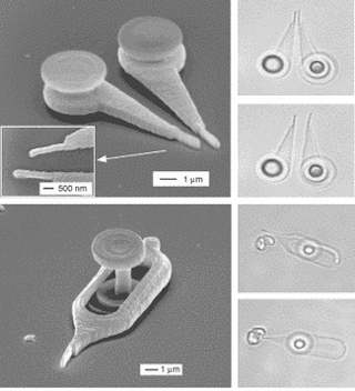 Light-driven micromanipulators are fabricated from UV-curable resin by two-photon stereo lithography. Tweezers have submicron probe tips formed by point-by-point exposure (scanning electron micrograph, a). Gradient pressure from a focused laser beam moves the tweezers tips together or apart (optical micrographs, b and c). A needle has a submicron tip and a post-like &apos;dot&apos; that is captured and held by a laser beam for manipulation of the needle (scanning electron micrograph, d). Optically manipulated in an aqueous solution, the needle pushes a microscopic speck of dust aside or pricks it with its tip (optical micrographs, e and f).