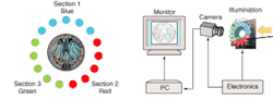 FIGURE 2. Circular arrangement of red, green, and blue LEDs (left) illuminates coin and encodes profile information as coin passes through imaging guideway (right). FIGURE 2. Circular arrangement of red, green, and blue LEDs (left) illuminates coin and encodes profile information as coin passes through imaging guideway (right).