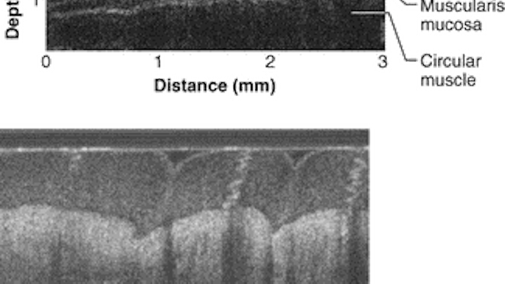 Th 128402