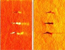 FIGURE 4. An OSA scatterometer image (left) and a reflectometer image (right) are taken of the same cluster of micropipes in SiC. When a micropipe is encountered, the reflectometer data shows a dark core extending to the right. The scattered light data shows a bright and dark streak also extending to the right. This bright streak is the micropipe being imaged beneath the surface of the SiC as the specular beam penetrates into the substrate and light scatters back to the scatterometer detector. The streak extending to the right of the micropipe expands in width the farther it is from the center of the micropipe because the optical beam is focused at the surface of the wafer and it expands as it penetrates into the substrate. The streak extends to the right because the laser beam is incident from the right. FIGURE 4. An OSA scatterometer image (left) and a reflectometer image (right) are taken of the same cluster of micropipes in SiC. When a micropipe is encountered, the reflectometer data shows a dark core extending to the right. The scattered light data shows a bright and dark streak also extending to the right. This bright streak is the micropipe being imaged beneath the surface of the SiC as the specular beam penetrates into the substrate and light scatters back to the scatterometer detector. The streak extending to the right of the micropipe expands in width the farther it is from the center of the micropipe because the optical beam is focused at the surface of the wafer and it expands as it penetrates into the substrate. The streak extends to the right because the laser beam is incident from the right.