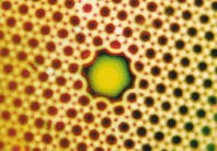 Th 1299feat8 3 Th 1299feat8 3