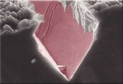 Th 131008 Th 131008