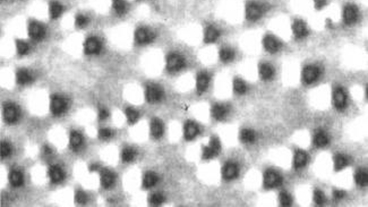 Th 135835