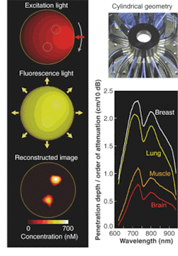 FIGURE 5. Fluorescence molecular tomography uses principles similar to x-ray and CT to provide a volumetric reconstruction of light emitted from target-specific fluorescent molecular probes, but it also accounts for the diffuse nature of photons in tissues. Single-point source illumination of tissue distributes along isocontour lines to excite distributed fluorochromes (left top), which act as secondary sources at a higher wavelength (left middle). The source rotates around a cylindrical bore (right top) for multiple illumination projections and measurements are combined tomographically to yield maps of fluorochrome distribution (left bottom). Nanomolar concentrations of fluorochromes at spatial resolutions of 1 to 2 mm in small animals can be detected at depths of several centimeters in the near-IR (right bottom).
