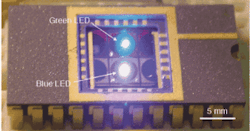 FIGURE 2. A light-induced-fluorescence emitter/detector chip incorporates both blue and green LEDs. FIGURE 2. A light-induced-fluorescence emitter/detector chip incorporates both blue and green LEDs.