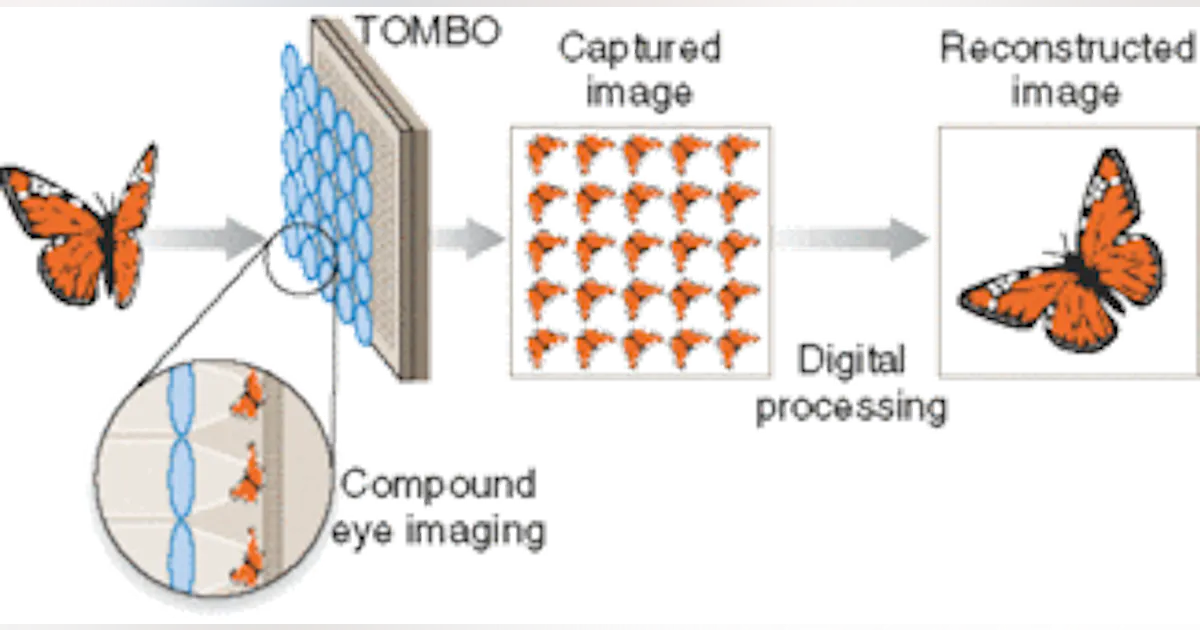 Compound camera sees clearly and in color | Laser Focus World
