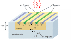 FIGURE 1. A lateral-PIN photodiode is implemented using an unmodified CMOS process into a structure similar to a metal-semiconductor-metal photodetector with alternating p-type and n-type fingers. FIGURE 1. A lateral-PIN photodiode is implemented using an unmodified CMOS process into a structure similar to a metal-semiconductor-metal photodetector with alternating p-type and n-type fingers.
