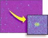 FIGURE 2. Some defects do not fit neatly into the predefined classifications, and determining their area can be ambiguous. However, the area is a critical parameter in calculating defect severity, thus putting usefulness of the algorithm into question. FIGURE 2. Some defects do not fit neatly into the predefined classifications, and determining their area can be ambiguous. However, the area is a critical parameter in calculating defect severity, thus putting usefulness of the algorithm into question.