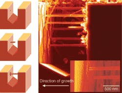 M. Saif Islam and colleagues at the Quantum Science Research group of Hewlett-Packard Laboratories (Palo Alto, CA) have developed a solution to the long-standing issue of interconnecting 1-D semiconductor nanowire devices with conventional integrated-circuit elements, using processes compatible with mass manufacturing. They fabricated two opposing vertical and electrically isolated semiconductor surfaces using optical lithography along with wet and dry etching. Then they grew lateral nanowire devices from one surface and epitaxially connected them to the other, forming mechanically robust bridges. The work was presented in the conference on nanosensing at Optics East 2004. M. Saif Islam and colleagues at the Quantum Science Research group of Hewlett-Packard Laboratories (Palo Alto, CA) have developed a solution to the long-standing issue of interconnecting 1-D semiconductor nanowire devices with conventional integrated-circuit elements, using processes compatible with mass manufacturing. They fabricated two opposing vertical and electrically isolated semiconductor surfaces using optical lithography along with wet and dry etching. Then they grew lateral nanowire devices from one surface and epitaxially connected them to the other, forming mechanically robust bridges. The work was presented in the conference on nanosensing at Optics East 2004.