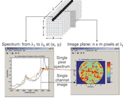 FIGURE 3. A spectral-imaging hypercube (top) integrates information from spatial (bottom left) and spectral (bottom right) dimensions. FIGURE 3. A spectral-imaging hypercube (top) integrates information from spatial (bottom left) and spectral (bottom right) dimensions.
