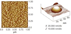 FIGURE 1. A quantum-dot IR detector allows absorption of normal-incidence light, a result of three-dimensional confinement in quantum dots. A group of researchers from Northwestern University (Evanston, IL) will present information on the first indium phosphide-based quantum-dot IR detector during the Quantum Sensing and Nanophotonic Devices II conference. An atomic-force microscope (AFM) scan can reveals the structures of a group of InAs (indium arsenide) quantum dots in a 1 × 1-µm area grown in an InP (indium phosphide) substrate (left). The cylindrical structure of an individual quantum dot in the field is well defined (right). FIGURE 1. A quantum-dot IR detector allows absorption of normal-incidence light, a result of three-dimensional confinement in quantum dots. A group of researchers from Northwestern University (Evanston, IL) will present information on the first indium phosphide-based quantum-dot IR detector during the Quantum Sensing and Nanophotonic Devices II conference. An atomic-force microscope (AFM) scan can reveals the structures of a group of InAs (indium arsenide) quantum dots in a 1 × 1-µm area grown in an InP (indium phosphide) substrate (left). The cylindrical structure of an individual quantum dot in the field is well defined (right).