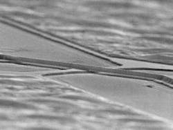 A quantum-dot resonant-tunneling diode that detects single photons is located at the junction of two crossed semiconductor wires. A quantum-dot resonant-tunneling diode that detects single photons is located at the junction of two crossed semiconductor wires.