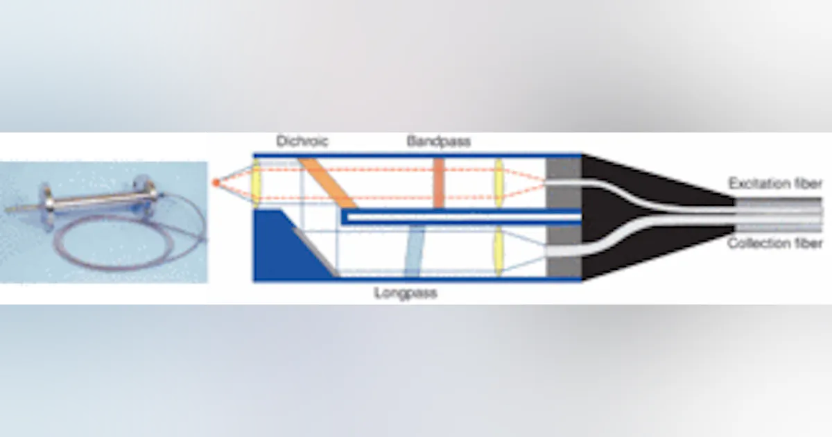 Emvision Raman Probe Raman spectroscopic probes withstand hostile environments | Laser Focus ...