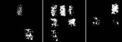 A 3 × 3 array of chemically selective polymers is exposed to various vapors including benzene (left), dichloromethane (center), and ethanol (right). If a particular polymer responds to the vapor, its bright illumination creates a pattern or chemical signature that can be observed by the holographic interferometer and used to recognize the content of a vapor. A 3 × 3 array of chemically selective polymers is exposed to various vapors including benzene (left), dichloromethane (center), and ethanol (right). If a particular polymer responds to the vapor, its bright illumination creates a pattern or chemical signature that can be observed by the holographic interferometer and used to recognize the content of a vapor.