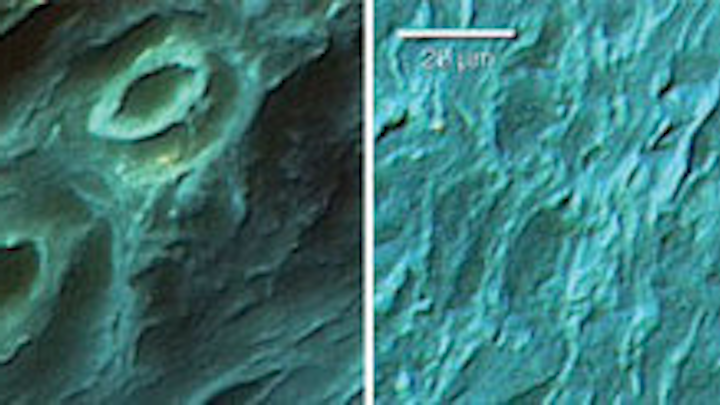 Th 204761
