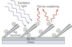 Researchers at the University of Georgia used silver-nanorod arrays and SERS to rapidly (30 to 50 s) detect human viruses in specimen volumes and differentiate between respiratory viruses, virus strains, and viruses containing gene deletions without manipulating the virus. Researchers at the University of Georgia used silver-nanorod arrays and SERS to rapidly (30 to 50 s) detect human viruses in specimen volumes and differentiate between respiratory viruses, virus strains, and viruses containing gene deletions without manipulating the virus.