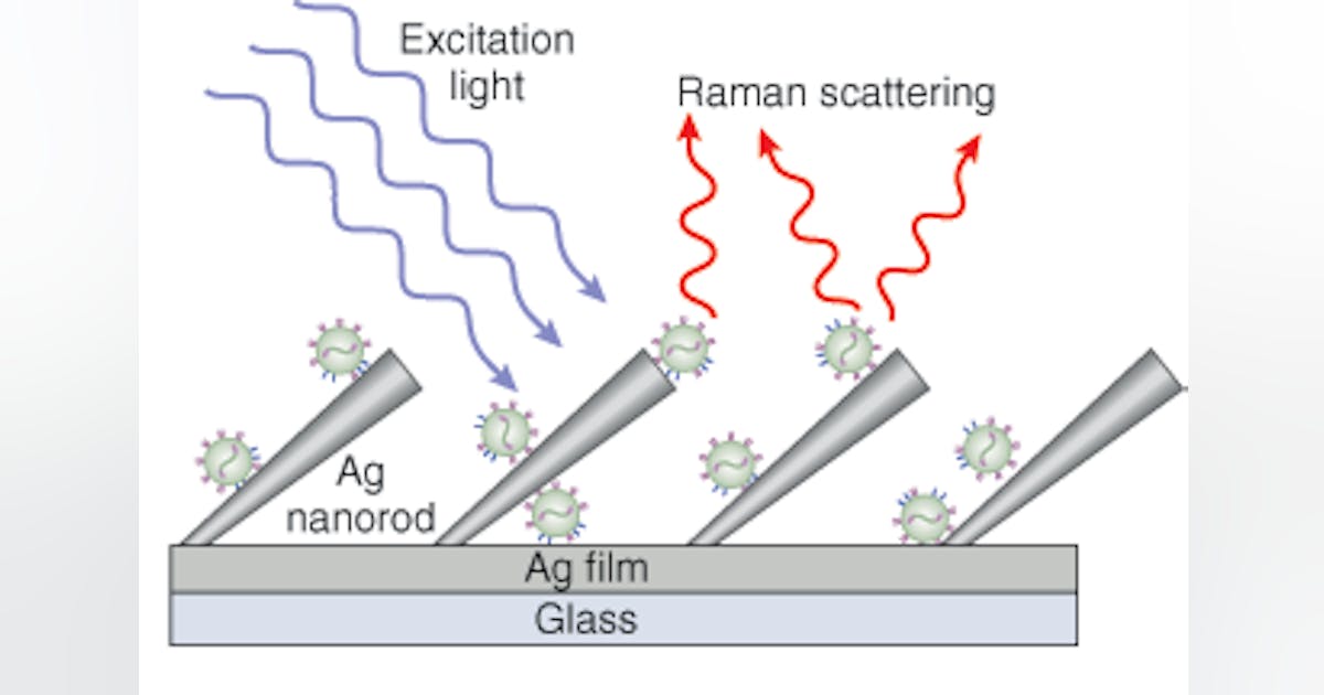 RAMAN SPECTROSCOPY: SERS and silver nanorods quickly reveal viral ...