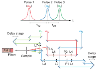 SPECTROSCOPY: Two-dimensional IR method tracks proteomic fingerprints ...