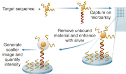 Nanosphere’s approach to direct detection of nucleic acid involves binding a gold nanosphere to the target sequence, and coating the nanoparticle with highly reflective silver that reflects LED light. The silver, which itself does not bind to the organics, serves as an evanescently illuminated marker. Nanosphere’s approach to direct detection of nucleic acid involves binding a gold nanosphere to the target sequence, and coating the nanoparticle with highly reflective silver that reflects LED light. The silver, which itself does not bind to the organics, serves as an evanescently illuminated marker.
