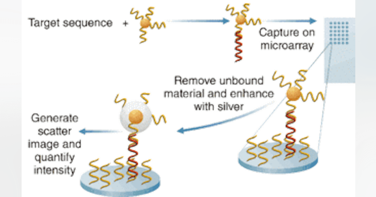 BIO-OPTICS: Evanescent waves highlight nanoparticle biomarkers | Laser ...