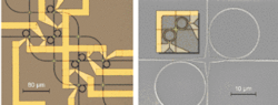 FIGURE 2. A prototype 4 × 4 router with an improved geometry (left) switches to all states without sharing paths. (The wide gold paths are the electrical contacts to the nichrome heaters.) The waveguide intersections are adiabatically transitioned to minimize crosstalk (right). The nichrome heaters sit atop the microring resonators (right inset). FIGURE 2. A prototype 4 × 4 router with an improved geometry (left) switches to all states without sharing paths. (The wide gold paths are the electrical contacts to the nichrome heaters.) The waveguide intersections are adiabatically transitioned to minimize crosstalk (right). The nichrome heaters sit atop the microring resonators (right inset).