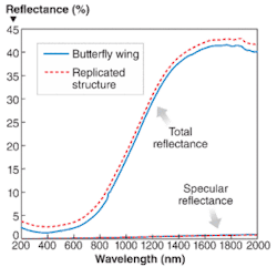 An actual butterfly wing and a glass replica differ in reflectance by about 5% at most. An actual butterfly wing and a glass replica differ in reflectance by about 5% at most.