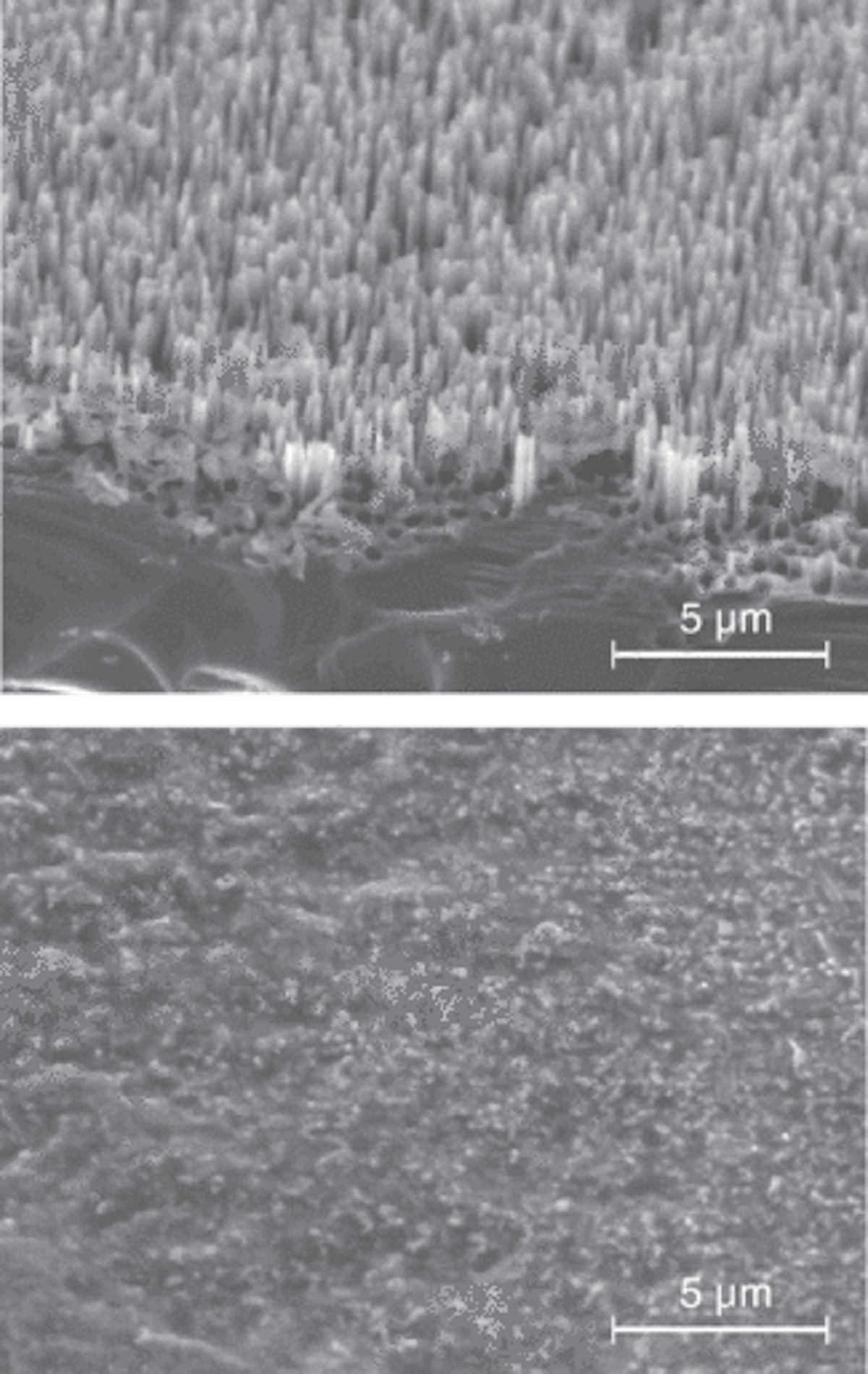 Black silicon consists of needle-shaped structures created on the surface of silicon through high-energy irradiation or chemical treatment (top); the absorptive structure can have many applications, including being used as a source of terahertz radiation. The silicon was intentionally damaged (bottom) to confirm that the needle structure was indeed the cause of terahertz emission.