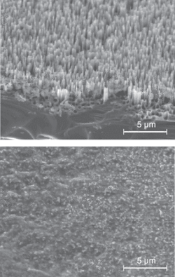 Black silicon consists of needle-shaped structures created on the surface of silicon through high-energy irradiation or chemical treatment (top); the absorptive structure can have many applications, including being used as a source of terahertz radiation. The silicon was intentionally damaged (bottom) to confirm that the needle structure was indeed the cause of terahertz emission. Black silicon consists of needle-shaped structures created on the surface of silicon through high-energy irradiation or chemical treatment (top); the absorptive structure can have many applications, including being used as a source of terahertz radiation. The silicon was intentionally damaged (bottom) to confirm that the needle structure was indeed the cause of terahertz emission.