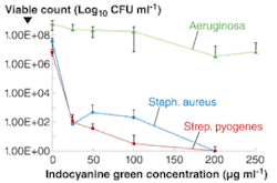 When mixed in solution with bacteria and activated by light, indocyanine green can kill nearly all the bacteria. Here, the solution is subjected to a 411 J/cm2 dose of 808 nm laser light at an intensity of 1.37 W/cm2. Varying indocyanine green concentrations were tested on three types of bacteria. When mixed in solution with bacteria and activated by light, indocyanine green can kill nearly all the bacteria. Here, the solution is subjected to a 411 J/cm2 dose of 808 nm laser light at an intensity of 1.37 W/cm2. Varying indocyanine green concentrations were tested on three types of bacteria.