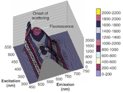 FIGURE 3. The fluorescence of OG 515 versus wavelength is plotted as a function of excitation wavelength. The sharp ridge to one edge is scattering caused by the geometry of the measurement setup. FIGURE 3. The fluorescence of OG 515 versus wavelength is plotted as a function of excitation wavelength. The sharp ridge to one edge is scattering caused by the geometry of the measurement setup.