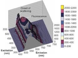 FIGURE 3. The fluorescence of OG 515 versus wavelength is plotted as a function of excitation wavelength. The sharp ridge to one edge is scattering caused by the geometry of the measurement setup. FIGURE 3. The fluorescence of OG 515 versus wavelength is plotted as a function of excitation wavelength. The sharp ridge to one edge is scattering caused by the geometry of the measurement setup.